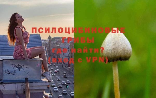 шишки Алзамай