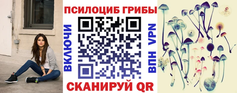 Псилоцибиновые грибы Psilocybine cubensis KRAKEN рабочий сайт Калининск